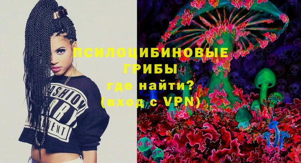 apvp Алзамай