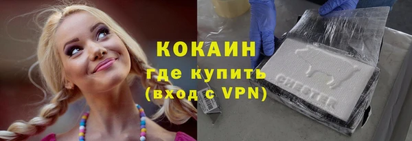 apvp Алзамай