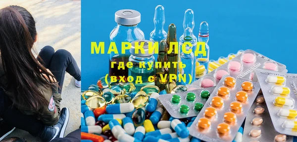 apvp Алзамай