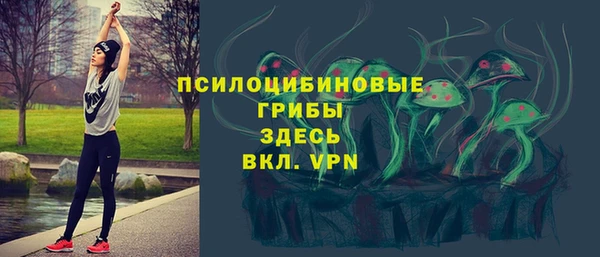эйфоретик Алексеевка