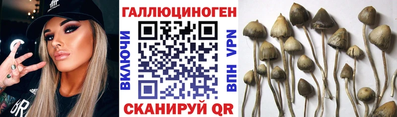 Галлюциногенные грибы GOLDEN TEACHER  Нытва 